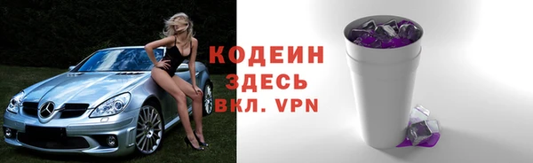 хмурый Лиски