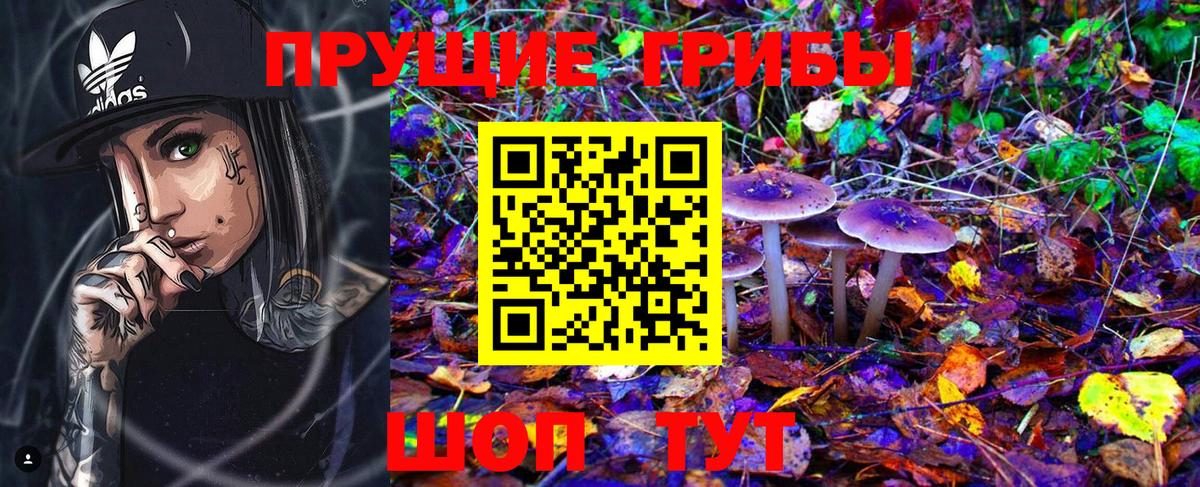 Псилоцибиновые грибы Magic Shrooms Гагарин