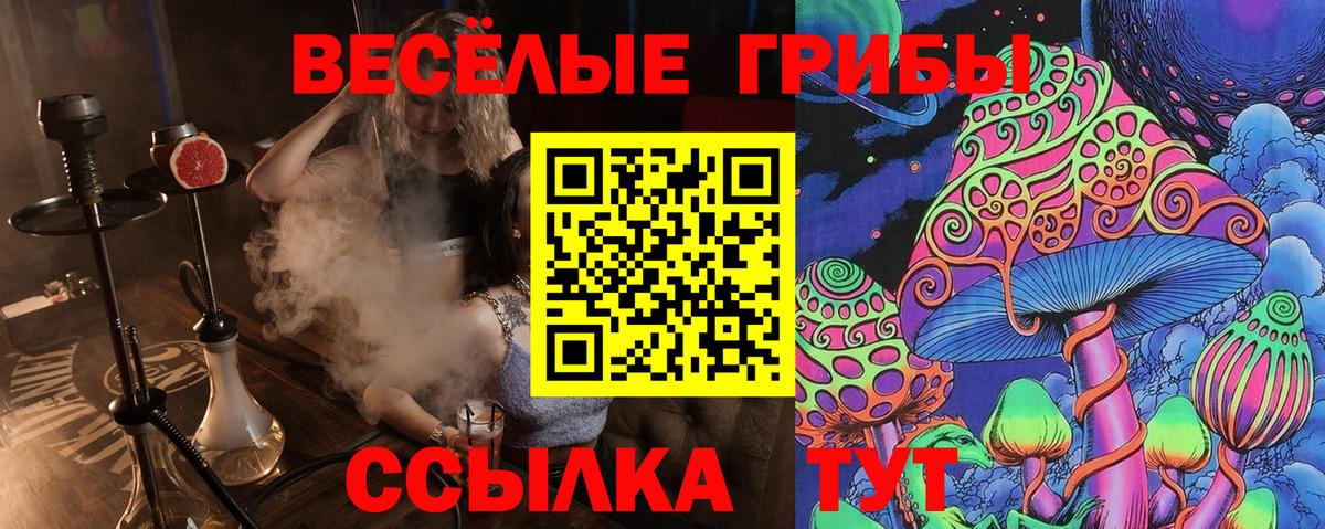 Галлюциногенные грибы мухоморы  Галлюциногенные грибы GOLDEN TEACHER  Гагарин  Вход с VPN 