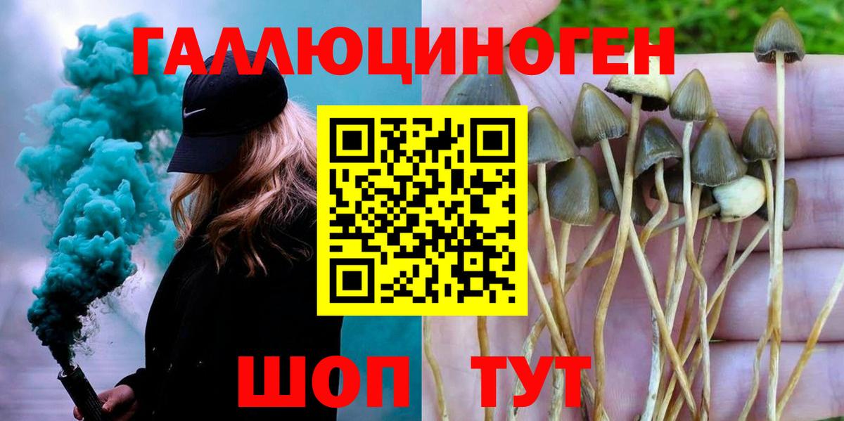 Галлюциногенные грибы GOLDEN TEACHER  Гагарин  Псилоцибиновые грибы мухоморы 